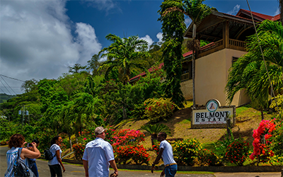 Belmont estate Grenada
